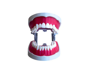 Magnetic hard cast